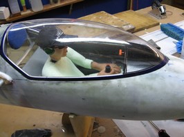 SHK Pilot and interior and canopy
